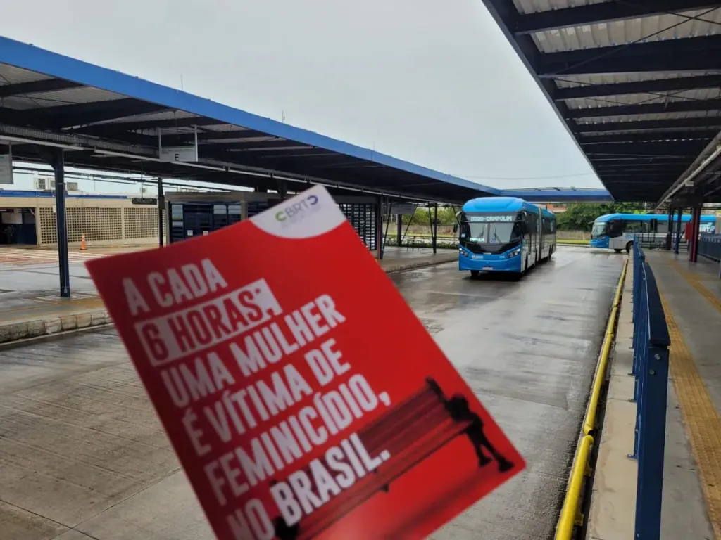 Divulgação